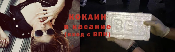 индика Елабуга