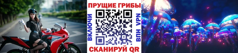 blacksprut как зайти  цены   Сорск  Галлюциногенные грибы Magic Shrooms 